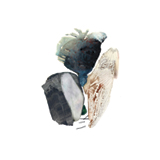 Book of Sand - Destruction, Not Reformation